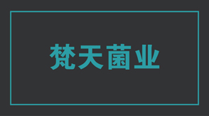 食品行业鄂州冲锋衣设计款式